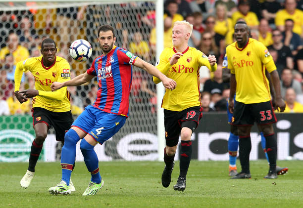 也激發了羅 也激發了羅