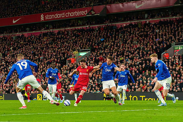 不仅仅是来 不仅仅是来